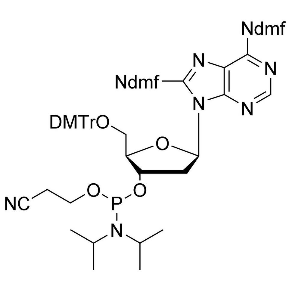 8-Amino-dA CE-Phosphoramidite